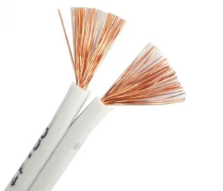 سیم سفید دو رشته 2 در